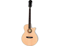 Epiphone PR-4E Player Pack image 3