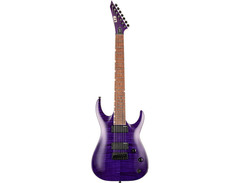 ESP LTD SH-207 Brian Welch Signature image 3