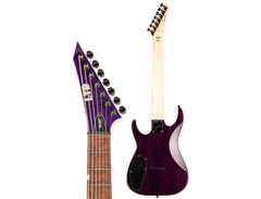 ESP LTD SH-207 Brian Welch Signature image 4