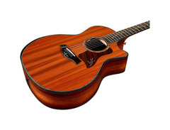 Taylor PS14ce image 3