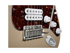 Fender Deluxe Power Stratocaster image 2