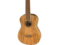 Fender Zuma Exotic Concert Ukulele image 4