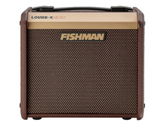 Fishman Loudbox Micro 2-Channel 40-Watt 1x5.25" Acoustic Guitar Combo image 2