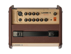 Fishman Loudbox Micro 2-Channel 40-Watt 1x5.25" Acoustic Guitar Combo image 4