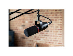 Focusrite Vocaster DM14V Cardioid Dynamic Microphone image 2