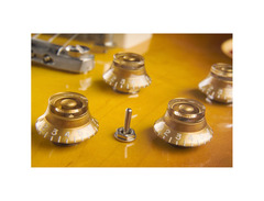 Gibson Custom Shop "Inspired By" Warren Haynes Les Paul Standard image 3