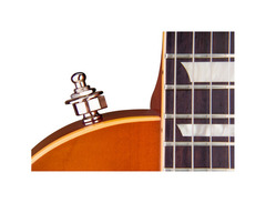 Gibson Custom Shop "Inspired By" Warren Haynes Les Paul Standard image 4