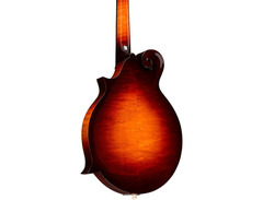 Gibson F-5G image 2