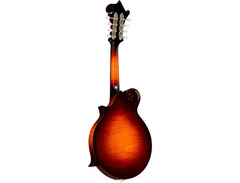 Gibson F-5G image 4