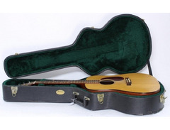 Martin DM image 4