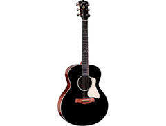 Taylor Gold Label 514e Acoustic-electric Guitar image 3