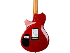 Godin DS-1 Daryl Stuermer Signature image 2