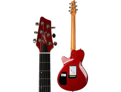 Godin DS-1 Daryl Stuermer Signature image 4