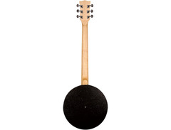 Gold Tone AC-6+ 6-String Acoustic-Electric Banjo image 2