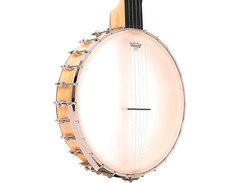 Gold Tone BC-350 Bob Carlin Signature 12" Openback Banjo image 3
