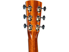 Blueridge BR-160 image 4