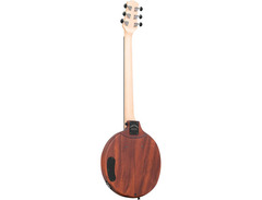 Gold Tone EB-6 Banjitar image 2