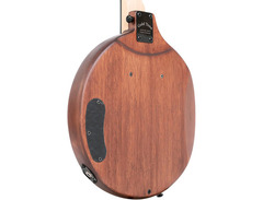 Gold Tone EBT 5-String Electric Banjo image 4