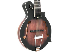 Gold Tone F-12 12-String Manditar image 3