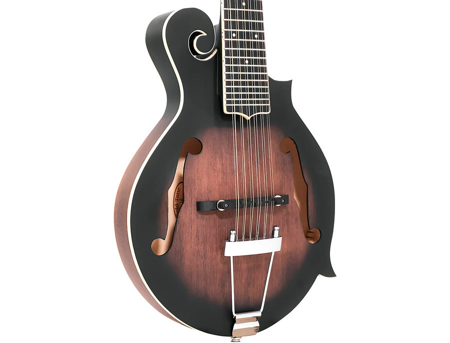 Manditar Instrument Gold Tone F-12 12-String Manditar - What To Know & Where To Buy ...