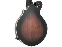 Gold Tone F-12 12-String Manditar image 4