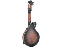 Gold Tone F-6 Manditar image 2