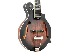 Gold Tone F-6 Manditar image 3