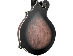 Gold Tone F-6 Manditar image 4