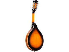 Gold Tone GM-50 A-Style Mandolin image 2
