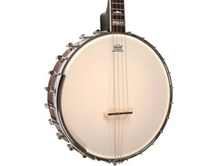 Gold Tone IT-250 4-String Openback Irish Tenor Banjo image 3