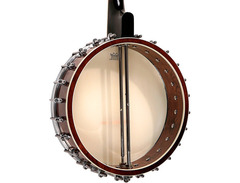 Gold Tone IT-250 4-String Openback Irish Tenor Banjo image 4