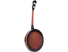 Gold Tone IT-250F 4-String Resonator Irish Tenor Banjo with Flange image 2