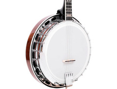 Gold Tone IT-250F 4-String Resonator Irish Tenor Banjo with Flange image 3