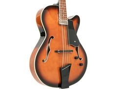 Gold Tone MandoCello image 2