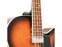 Gold Tone MandoCello image 3