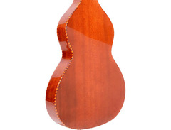 Gold Tone SM-Weissenborn+ image 4