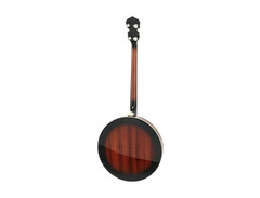 Gold Tone TS-250 4-String Flat Top Resonator Tenor Special Banjo image 2