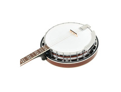 Gold Tone TS-250 4-String Flat Top Resonator Tenor Special Banjo image 4