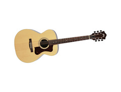 Guild USA F-30R Standard image 2