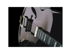 Hagstrom HL550 Jazz image 2