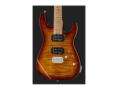 Harley Benton Fusion-III HH HT Pro Series image 4