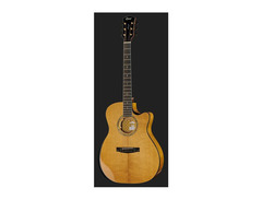 Cort Gold Edge image 2