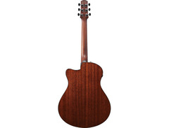 Ibanez AAM300CE Advanced Acoustic image 4