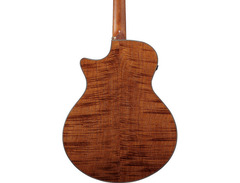 Ibanez AE295LTD AE Acoustic-Electric image 2