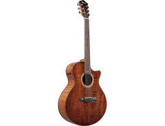 Ibanez AE295LTD AE Acoustic-Electric image 3
