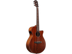 Ibanez AEG220 Grand Concert image 3