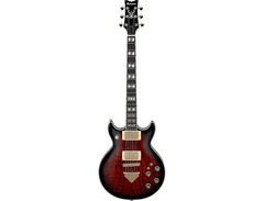 Ibanez AR325 Artist image 3