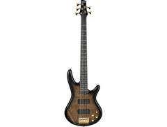Ibanez GSR205PC Gio Soundgear image 3