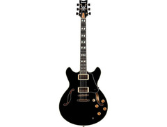 Ibanez JSM20TH 20th Anniversary John Scofield Signature image 3