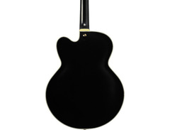 Ibanez PM20 Pat Metheny Signature image 2